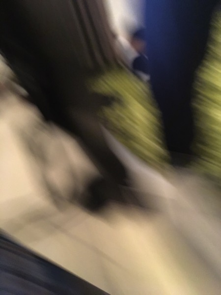 IMG_4528.JPG IMG 4528