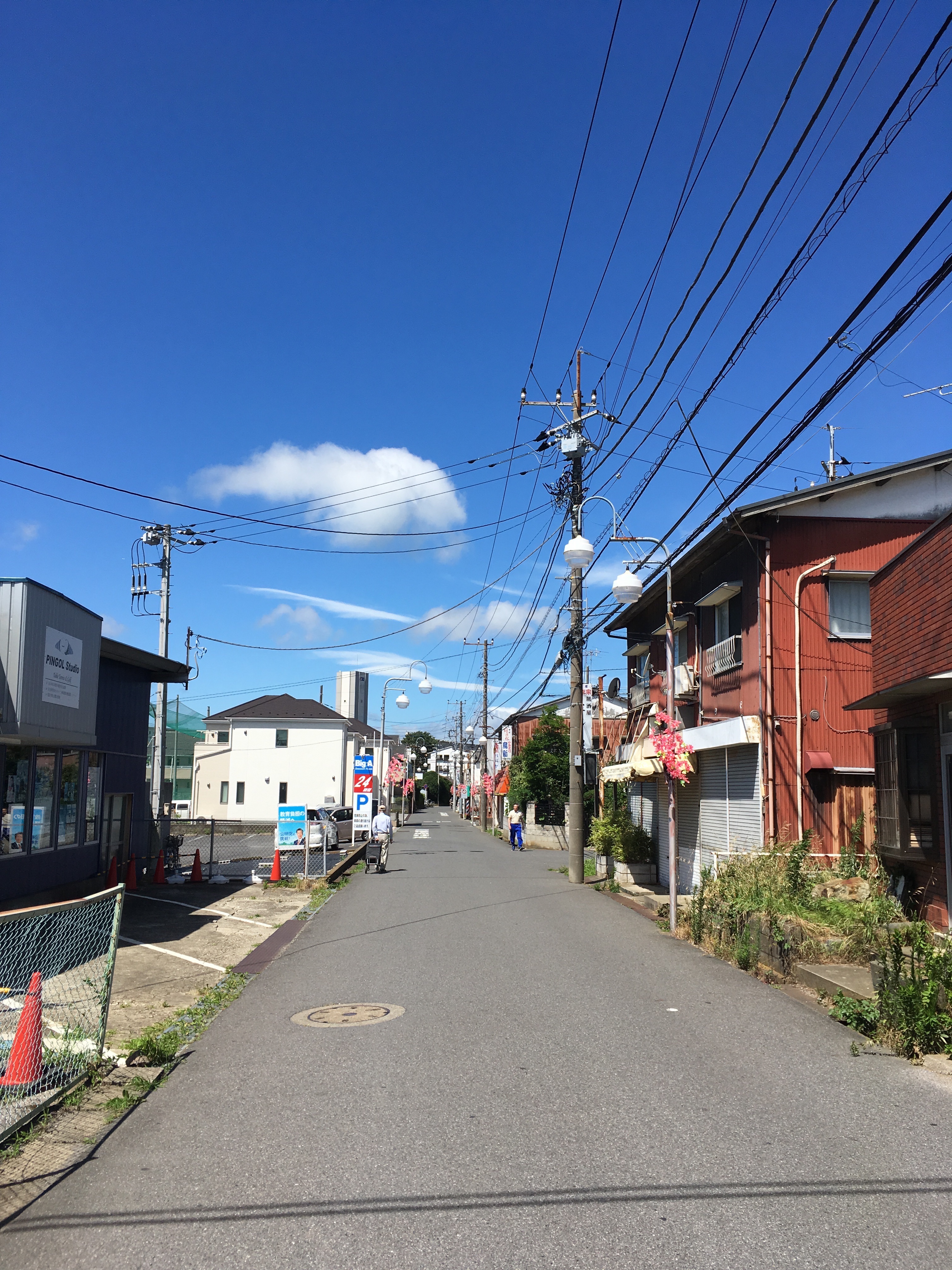 2日間だけ断食チャレンジ ２ ２日目 とろろはんばーぐ