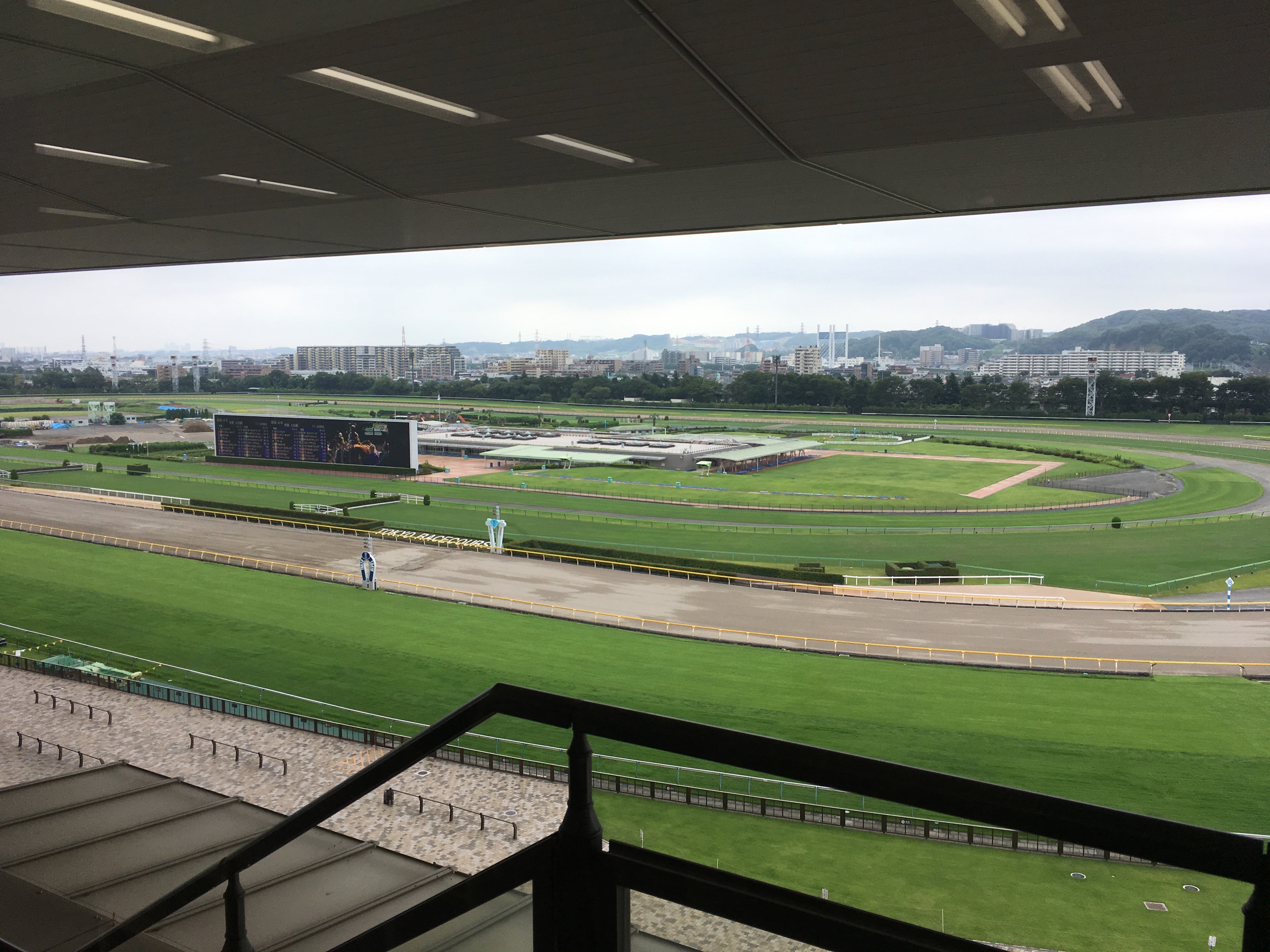 府中競馬場飲み放題