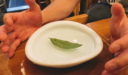 もっと雑な居酒屋紹介をしたい